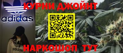 apvp Краснодар