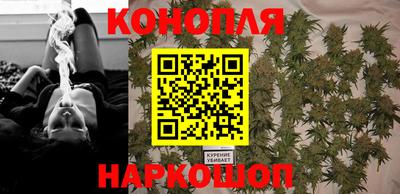 apvp Краснодар
