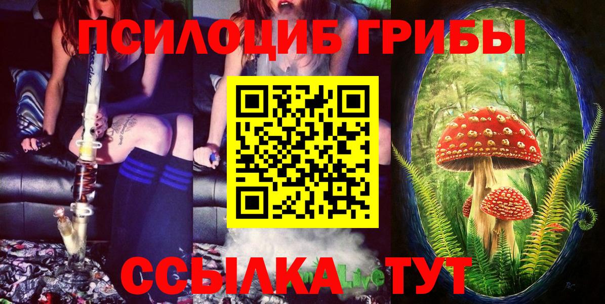 Галлюциногенные грибы прущие грибы Кировск